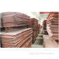 /msite/products/detail/productid/53974180/id/540978.html